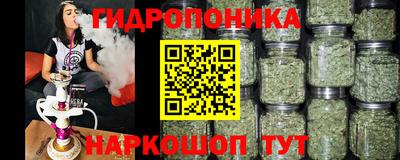 spice Усть-Илимск