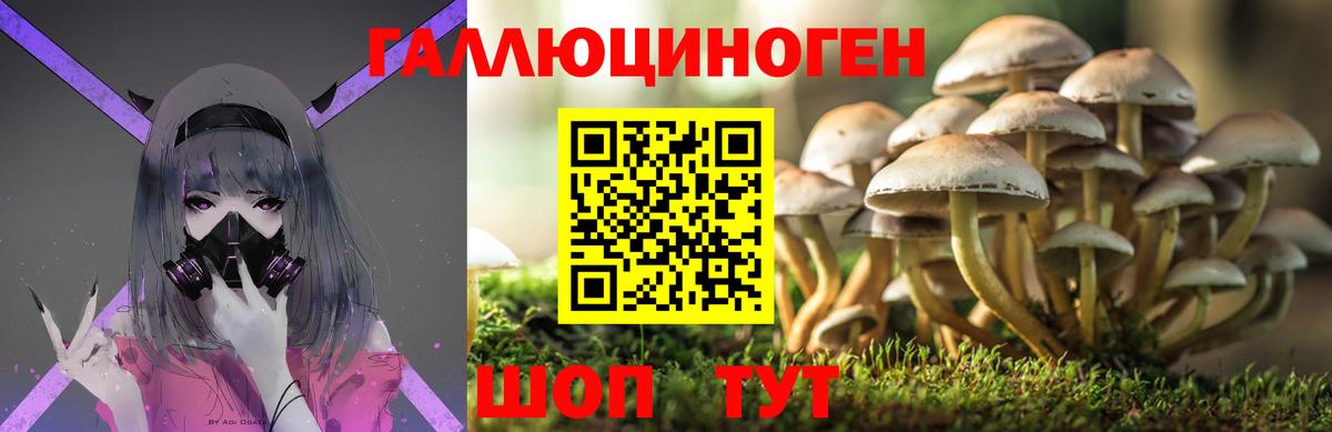 Галлюциногенные грибы Psilocybine cubensis Набережные Челны